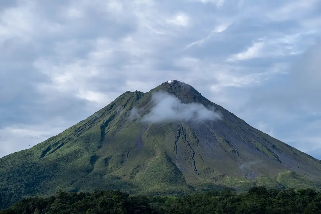 shot-breathtaking-giant-mountain-covered-forests-gleaming-cloudy-sky.webp
